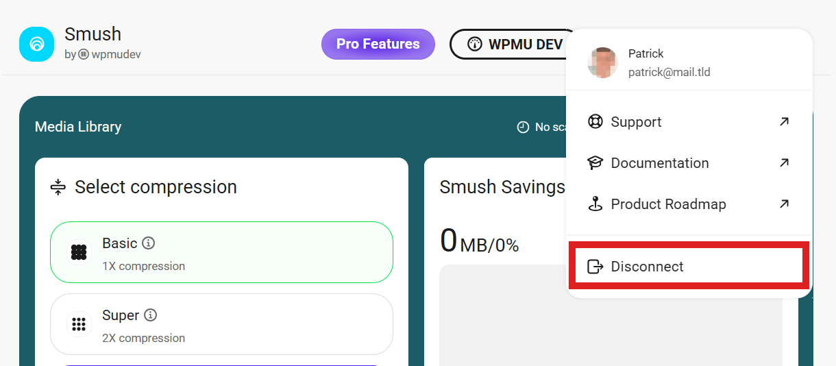 Profile menu with Disconnect option