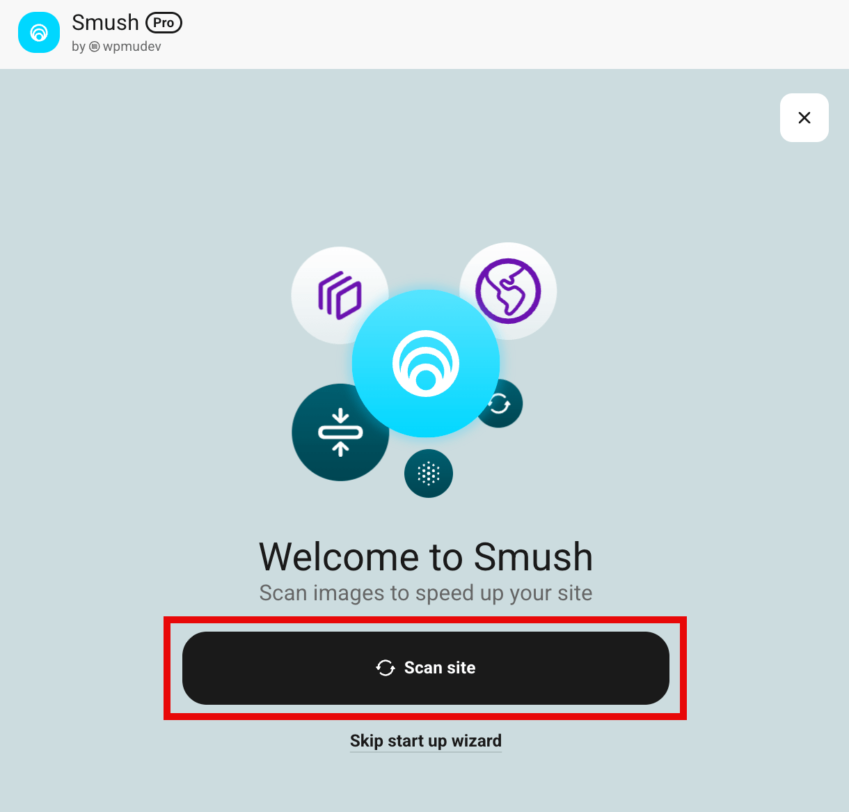 Start scanning images
