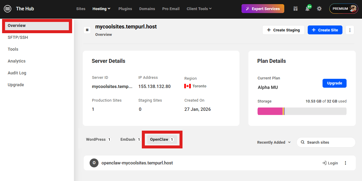 OpenClaw site on an unlimited hosting server overview screen