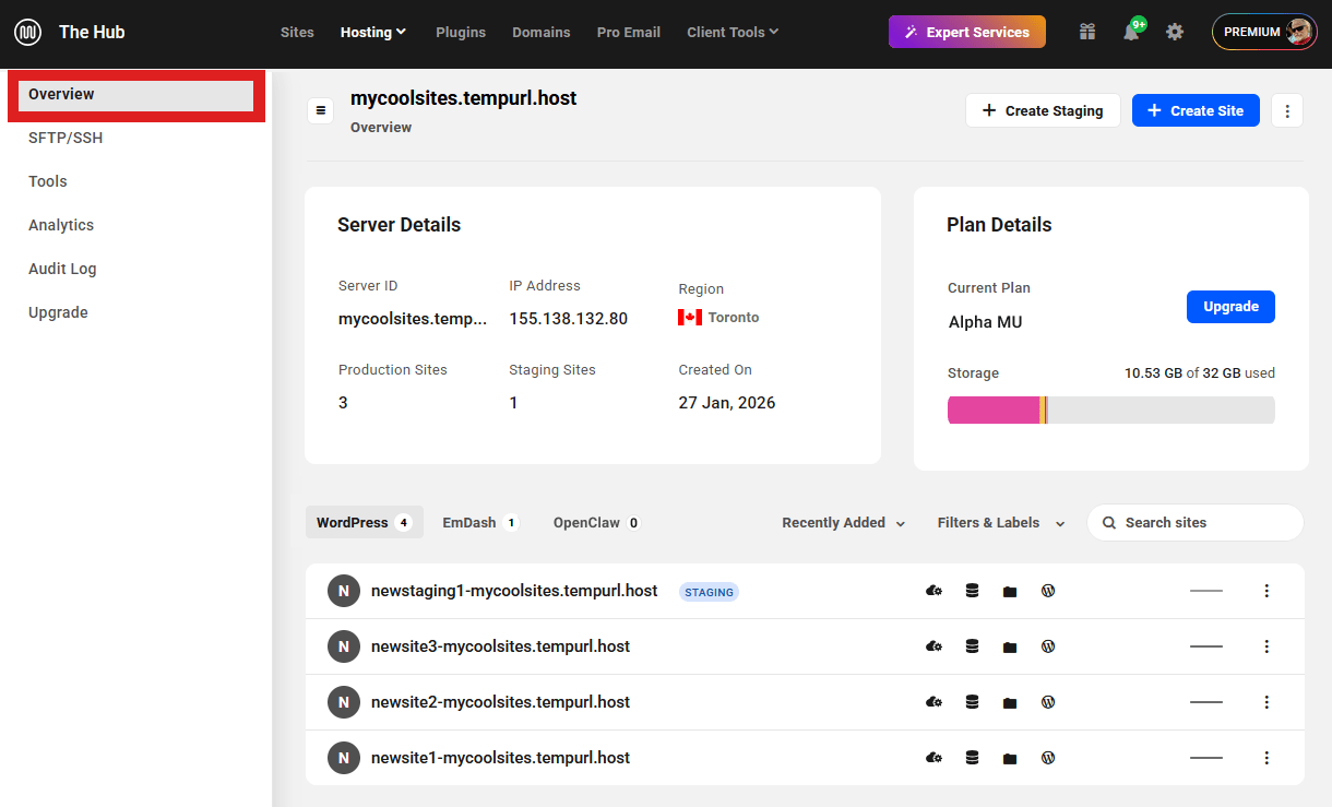Unlimited Hosting server overview screen