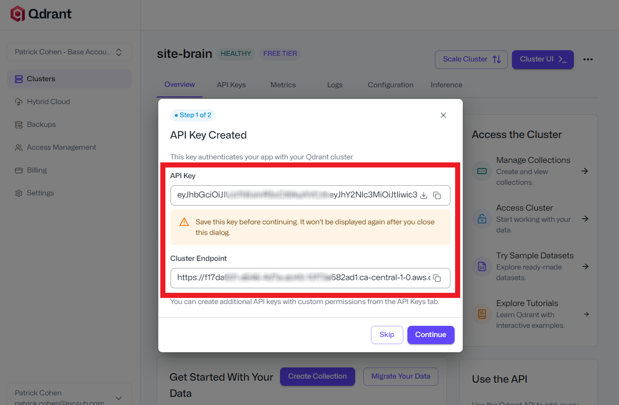 Copy the Qdrant cluster endpoint and API key