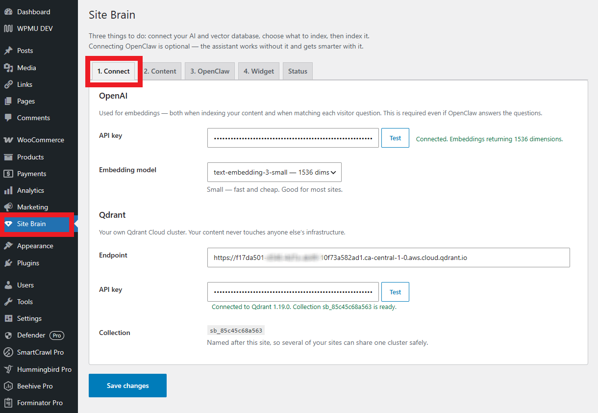 Connect OpenAI and Qdrant in Site Brain
