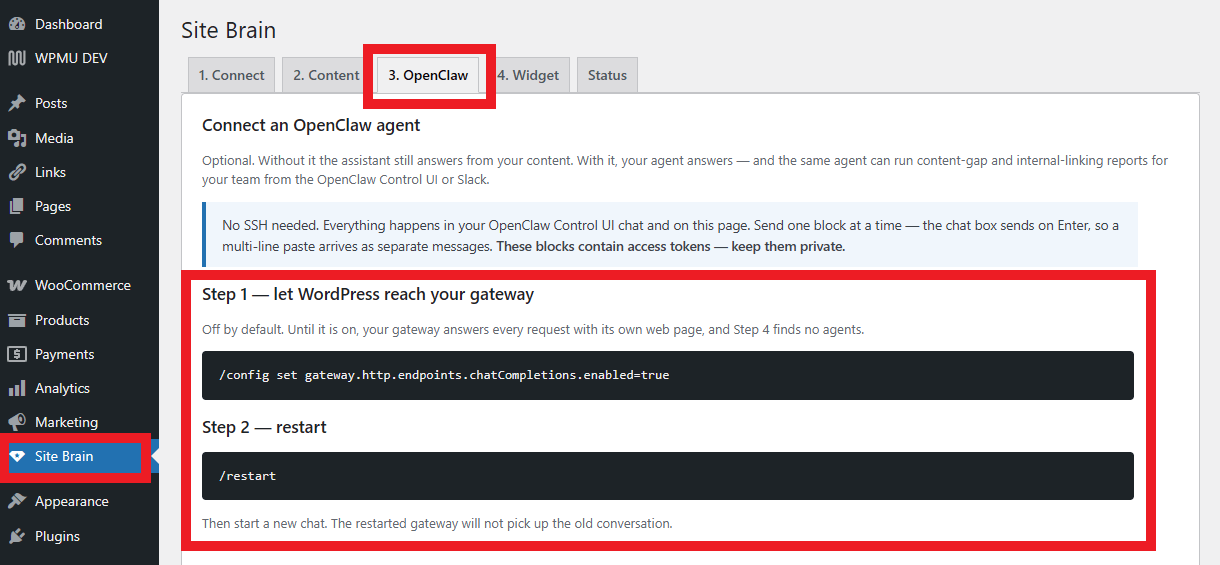 Connect OpenClaw to Site Brain