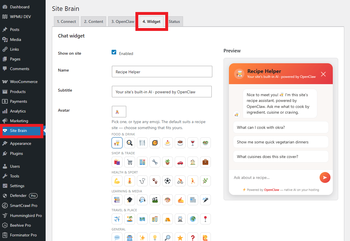 Customize the Site Brain widget